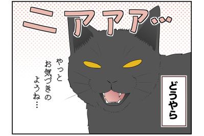 【マンガ・老猫日誌 ＃16】ウロウロ動き回る老猫…19歳の元保護猫・桃姐
