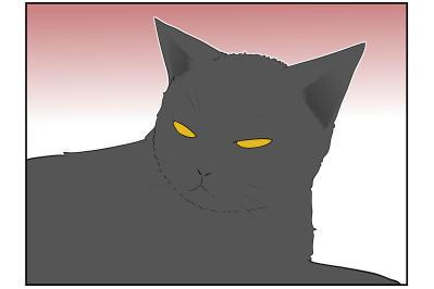 【マンガ・老猫日誌 ＃14】老猫のトイレ事情…19歳の元保護猫・桃姐