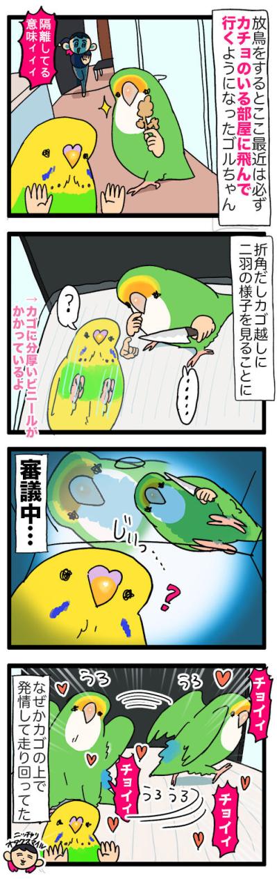 カゴ越しにお見合い！？／水浴びが下手すぎるインコの日常【鳥マンガ＃120】（サムネイル画像4）