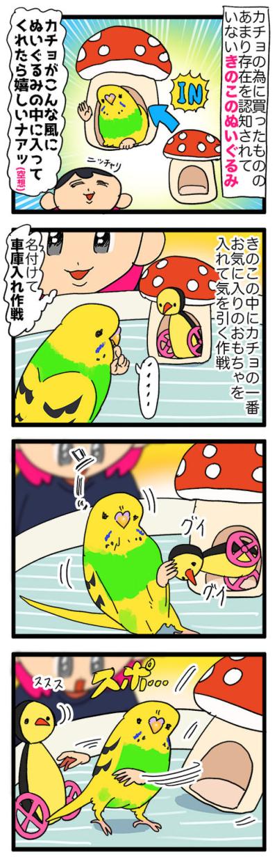セキセイインコ　カチョ再検査と性別判明エピソード【鳥マンガ＃121】（サムネイル画像4）