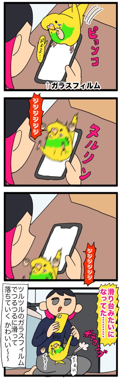 隔離越しの絆！ゴルとカチョのすれ違い日常／新人インコはスマホが好き？【鳥マンガ＃119】（サムネイル画像7）