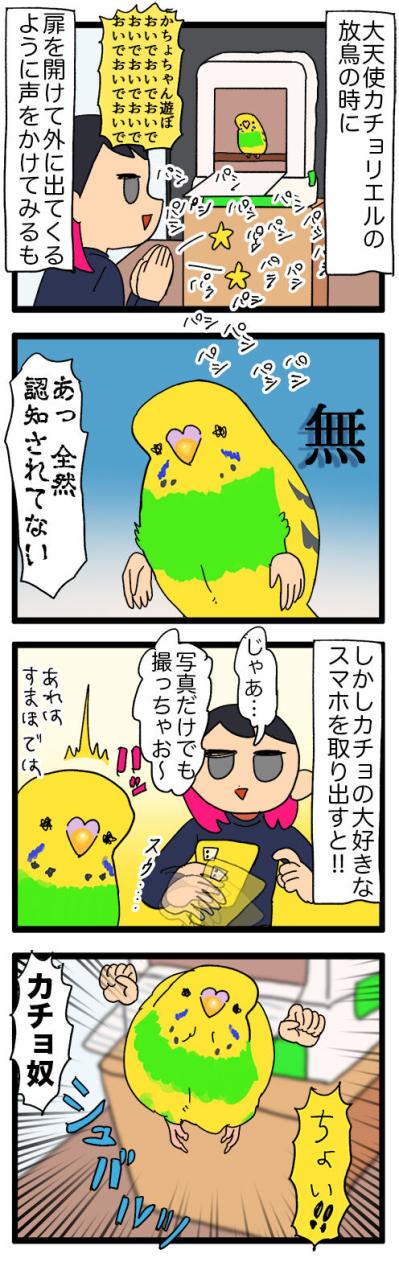隔離越しの絆！ゴルとカチョのすれ違い日常／新人インコはスマホが好き？【鳥マンガ＃119】（サムネイル画像6）