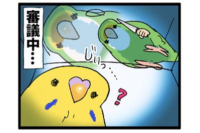 カゴ越しにお見合い！？／水浴びが下手すぎるインコの日常【鳥マンガ＃120】