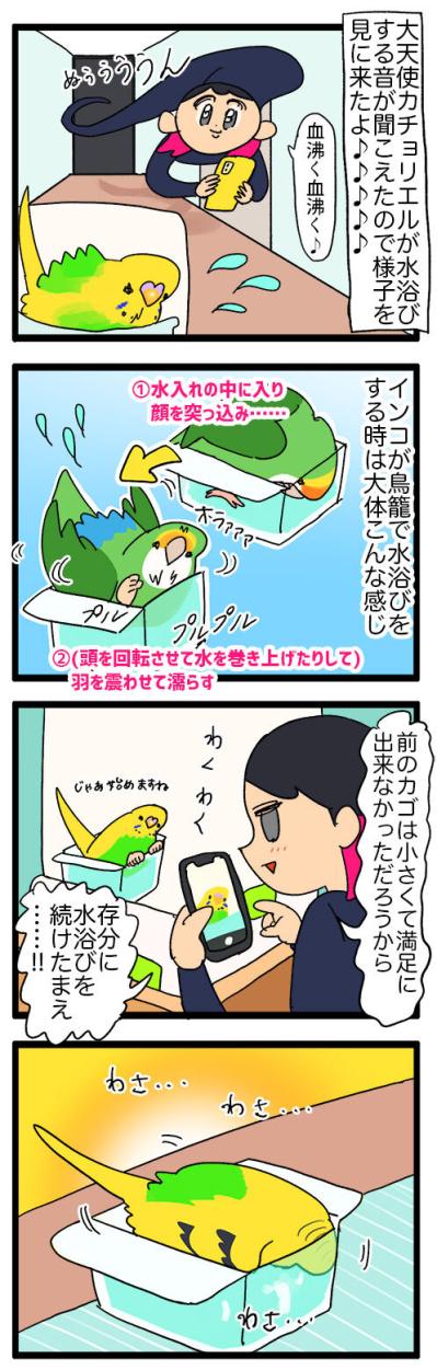 カゴ越しにお見合い！？／水浴びが下手すぎるインコの日常【鳥マンガ＃120】（サムネイル画像5）