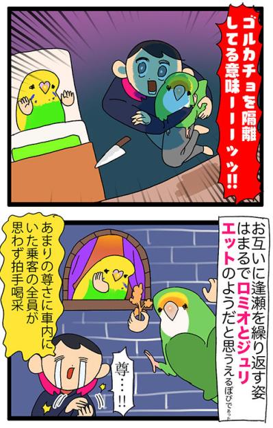 隔離越しの絆！ゴルとカチョのすれ違い日常／新人インコはスマホが好き？【鳥マンガ＃119】（サムネイル画像5）