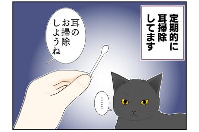 【マンガ・老猫日誌 ＃12】19歳の元保護猫・桃姐、耳掃除をする