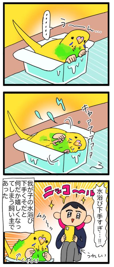 カゴ越しにお見合い！？／水浴びが下手すぎるインコの日常【鳥マンガ＃120】（サムネイル画像6）