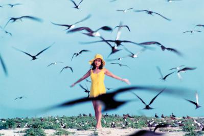  ワンピースで世界を旅した【兼高かおる】とは？その人生を振り返る感動のストーリー