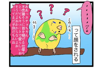 かわいさ全開！コザクラインコとセキセイインコがくれる癒やし【鳥マンガ #122】