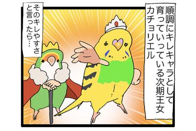 新入りセキセイインコの爆笑遊び方＆キレキャラ成長記【鳥マンガ #124】