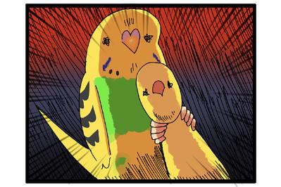 お気に入りグッズを救出!? セキセイインコの変わったおもちゃ遊び記録【鳥マンガ #125】