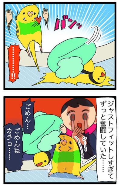 お気に入りグッズを救出!? セキセイインコの変わったおもちゃ遊び記録【鳥マンガ #125】（サムネイル画像4）