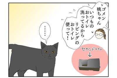 【マンガ・老猫日誌＃19】老猫、異様なまでに急かす…19歳の元保護猫・桃姐