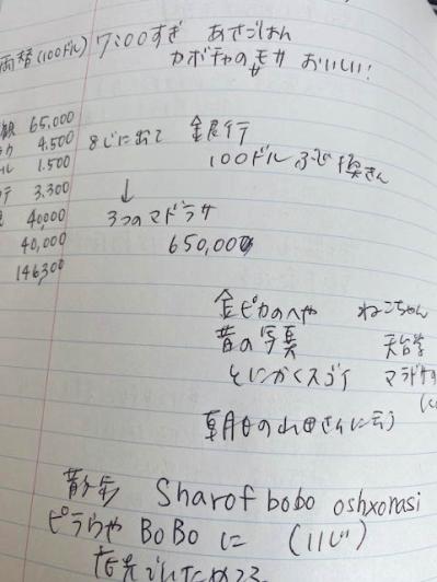 40カ国以上を旅した作家・角田光代さん。海外旅行では必ず作る「旅ノート」その中身は？（サムネイル画像5）
