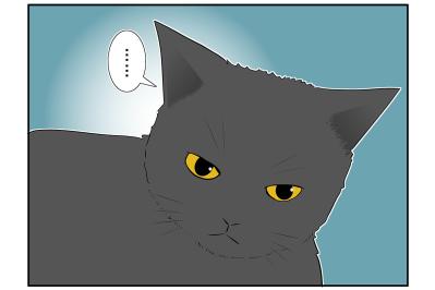 【マンガ・老猫日誌＃17】老猫、安全を確保する？ 19歳の元保護猫・桃姐