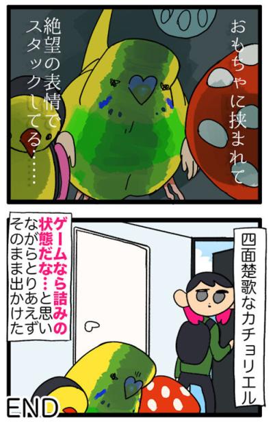飼い主の前でヨガ!? 四面楚歌!? セキセイインコの奇想天外エピソード【鳥マンガ #123】（サムネイル画像6）