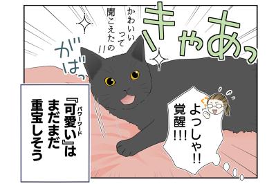 【マンガ・老猫日誌＃22】猫、パワーワードで覚醒する？ 19歳の元保護猫・桃姐
