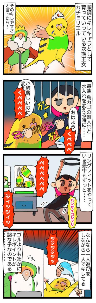 新入りセキセイインコの爆笑遊び方＆キレキャラ成長記【鳥マンガ #124】（サムネイル画像6）
