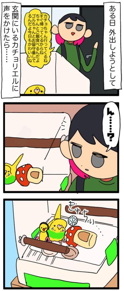 飼い主の前でヨガ!? 四面楚歌!? セキセイインコの奇想天外エピソード【鳥マンガ #123】（サムネイル画像5）