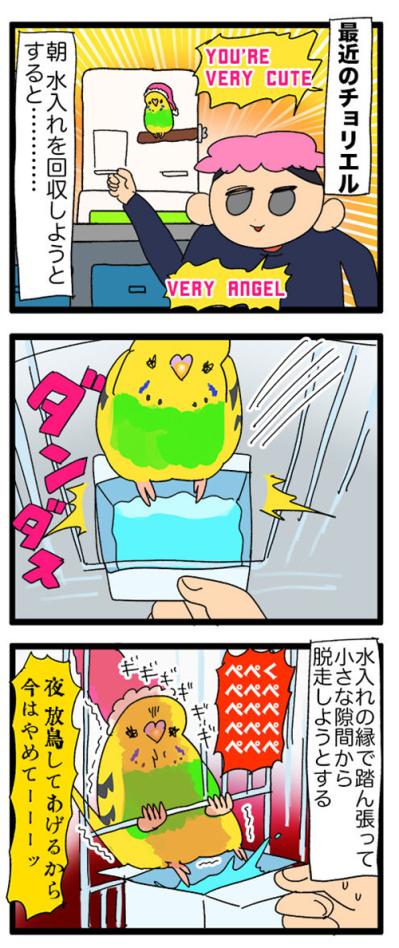 飛んで跳ねて脱走!? 目が離せないインコのハイテンション生活【鳥マンガ #129】（サムネイル画像6）