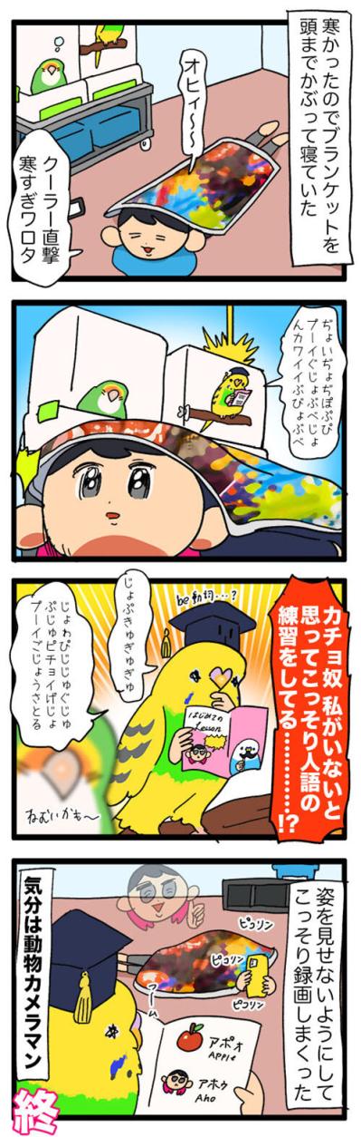 過剰スキンシップ＆こっそり人語を練習するセキセイインコの素顔【鳥マンガ #128】（サムネイル画像4）