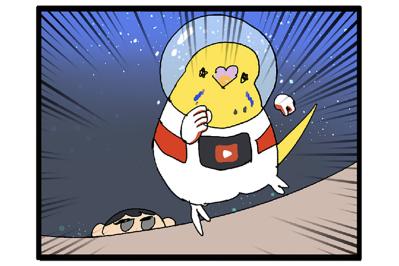 インコのカチョ、未開の地「床」を大冒険！飼い主ハラハラ【鳥マンガ #127】