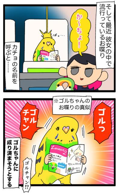 飛んで跳ねて脱走!? 目が離せないインコのハイテンション生活【鳥マンガ #129】（サムネイル画像7）