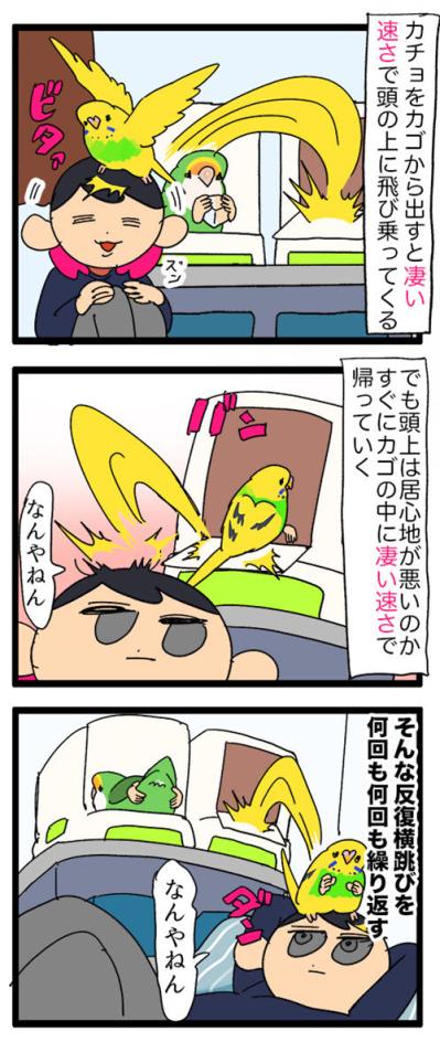 飛んで跳ねて脱走!? 目が離せないインコのハイテンション生活【鳥マンガ #129】（サムネイル画像4）