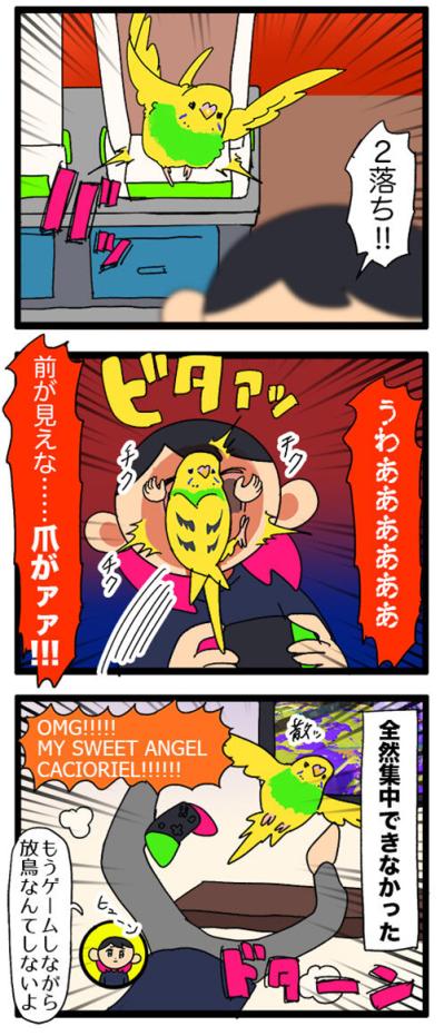 愛しいけど大変すぎる…換羽期と放鳥タイムのリアルな攻防戦【鳥マンガ #130】（サムネイル画像6）