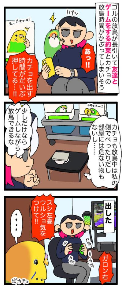 愛しいけど大変すぎる…換羽期と放鳥タイムのリアルな攻防戦【鳥マンガ #130】（サムネイル画像5）