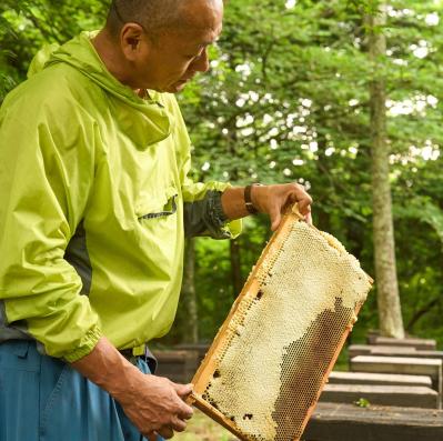 「自在堂」信州産純粋生はちみつアカシア（300g）・百花蜜（300ｇ）各1本セット（サムネイル画像3）