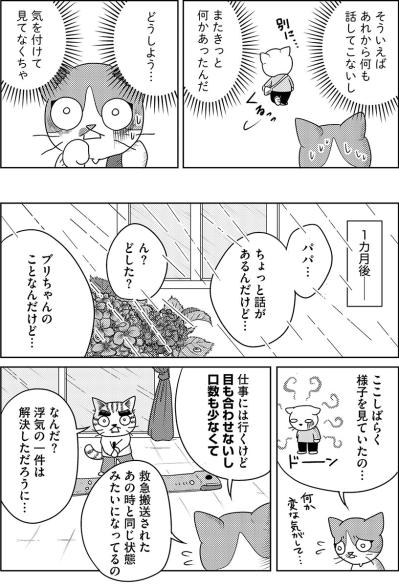 「もう一度だけやり直してみる」仲直りした娘夫婦だったが…娘にまた異変が…【家族もうつを甘くみてました#13】（サムネイル画像6）