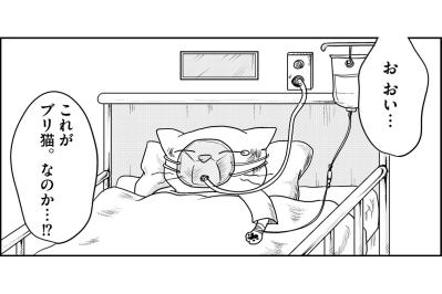 過食嘔吐に自傷行為!?廃人のようになってしまった娘に…一体何があったのか。【家族もうつを甘くみてました#3】