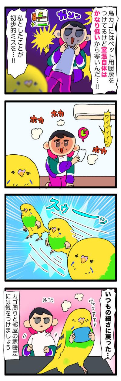 スマホ占拠にふくらみ姿も！インコ・カチョリエルのほっこり毎日【鳥マンガ #131】（サムネイル画像5）