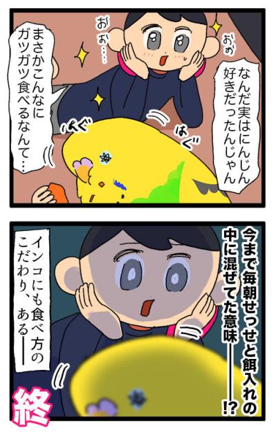 みかんも野菜も挑戦！インコ・カチョリエルの食事事情【鳥マンガ #133】（サムネイル画像7）