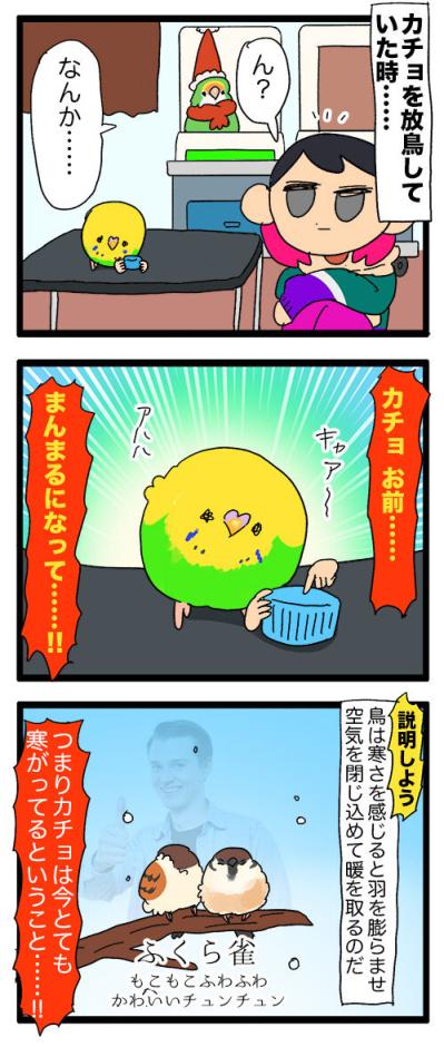 スマホ占拠にふくらみ姿も！インコ・カチョリエルのほっこり毎日【鳥マンガ #131】（サムネイル画像4）