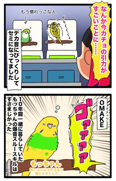 掃除機の爆音にビビる？インコ・カチョ、音怖克服チャレンジ【鳥マンガ #132】（サムネイル画像7）