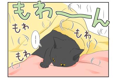 【マンガ・老猫日誌＃28】老猫とのループする日常？ 19歳の元保護猫・桃姐