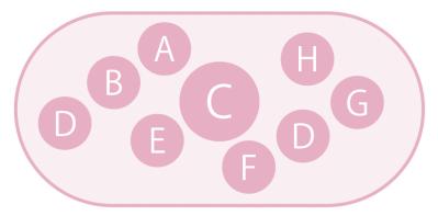 キュートな花かご風の【ビオラの寄せ植え】個性豊かな育種家ビオラで庭を彩る（サムネイル画像6）