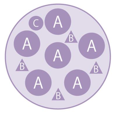 キュートな花かご風の【ビオラの寄せ植え】個性豊かな育種家ビオラで庭を彩る（サムネイル画像3）