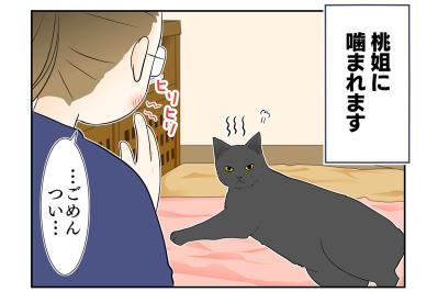 【マンガ・老猫日誌＃27】健康のバロメーターは「ペロペロ」。19歳の元保護猫・桃姐