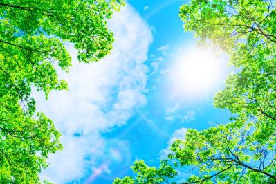 【ゆうゆうエッセイ大賞】テーマ「もしもタイムマシーンがあったら」佳作受賞作品を全公開！