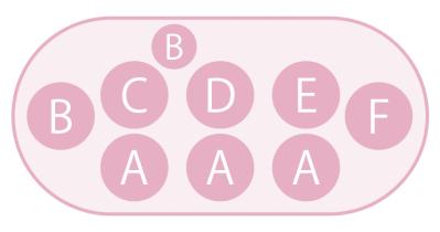 低木との組み合わせが素敵！【ビオラの寄せ植え】ナチュラルな雰囲気を春まで楽しむ（サムネイル画像4）