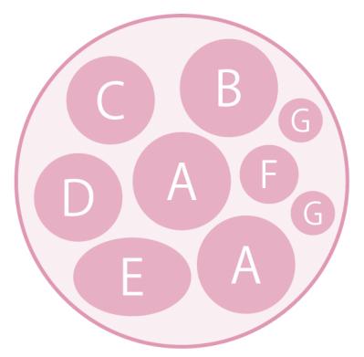 低木との組み合わせが素敵！【ビオラの寄せ植え】ナチュラルな雰囲気を春まで楽しむ（サムネイル画像10）