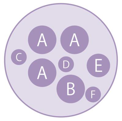 まるで花束のような【パンジー・ビオラの寄せ植え】持ち手つきのバスケットでプレゼントにも◎（サムネイル画像10）