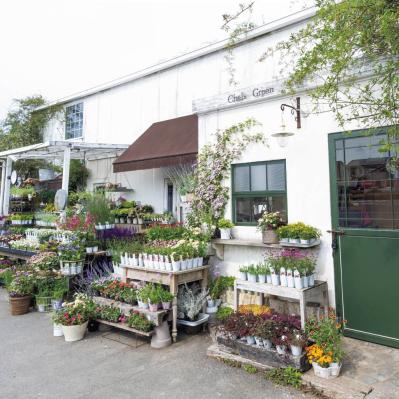 センスのよさがインスタで話題！ 園芸店「Chels Green」の【ケイトウが主役の秋の寄せ植え】（サムネイル画像4）