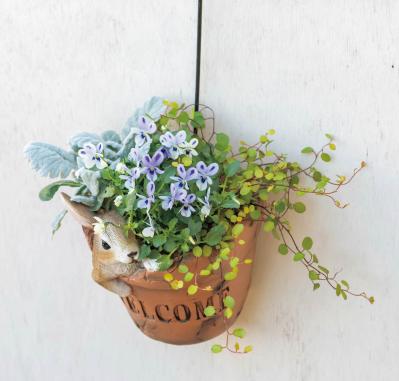壁にかけて楽しむ【ビオラの寄せ植え】つる性植物で躍動感をプラス（サムネイル画像5）