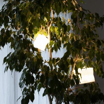 キャリー・ザ・サン　ソーラーランタンSサイズ（サムネイル画像2）