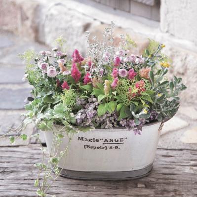 おしゃれな【秋の寄せ植え】2選。インスタで話題の「Chels Green」がセンスよく見せるポイントを伝授（サムネイル画像2）