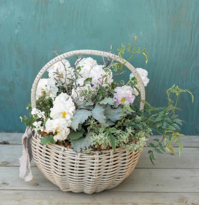 まるで花束のような【パンジー・ビオラの寄せ植え】持ち手つきのバスケットでプレゼントにも◎（サムネイル画像8）